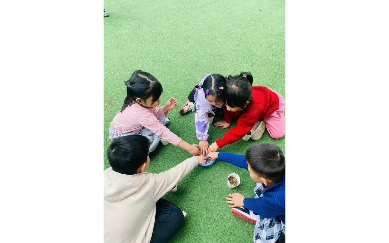 ƯƠM MẦM XANH – BÉ KHÁM PHÁ THIÊN NHIÊN