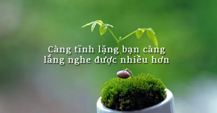 “Sự im lặng có ý nghĩa”